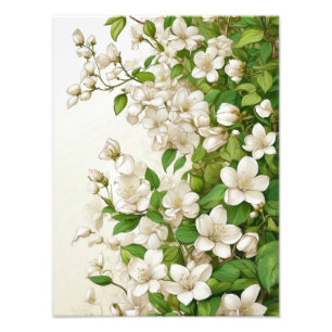 Foto Flores blancas y hojas verdes