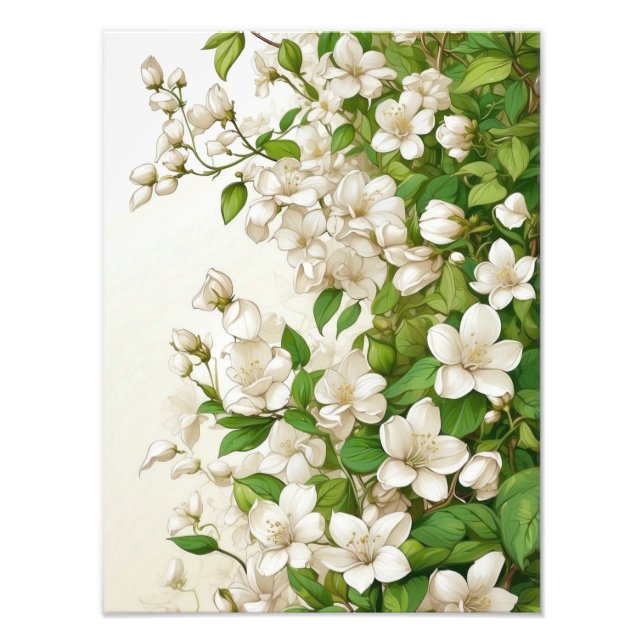 Foto Flores blancas y hojas verdes (Frente)