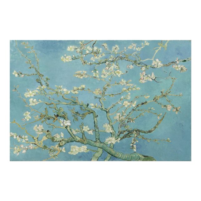 Foto Flores de almendra por Vincent van Gogh (Frente)