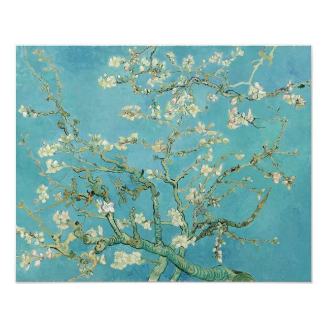 Foto Flores de almendra por Vincent van Gogh (Frente)
