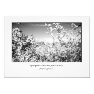 Foto Flores de Apple