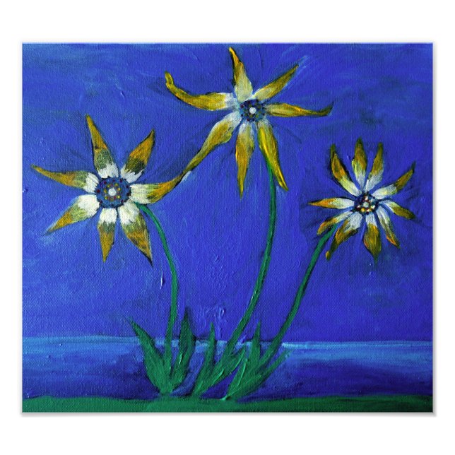 Foto Flores de arte , Kodak Professional Photo (Frente)