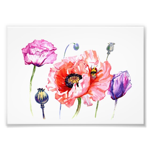 Foto Flores de campo de amapola, acuarela floral (Frente)