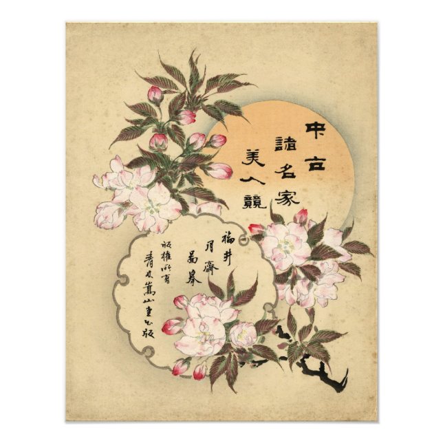 Foto Flores de cerezo (Frente)