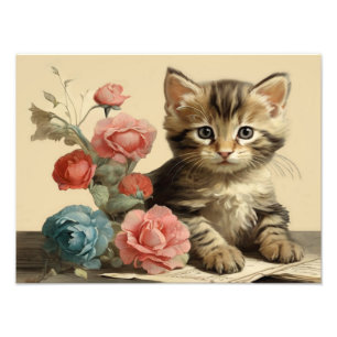 Foto Flores de color blandas de retrato de gatito blanc