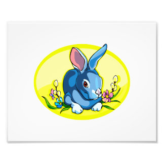 Foto flores de conejo de salón azul oval amarillo.png