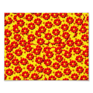 Foto Flores de dalia rojas y amarillas