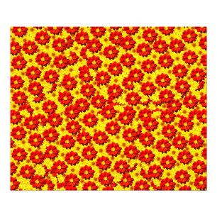 Foto Flores de dalia rojas y amarillas