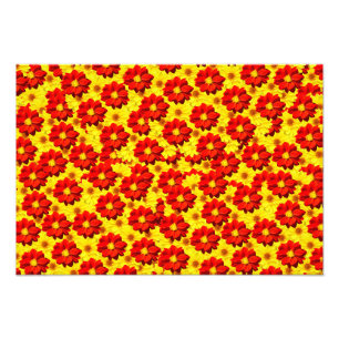 Foto Flores de dalia rojas y amarillas