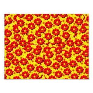 Foto Flores de dalia rojas y amarillas