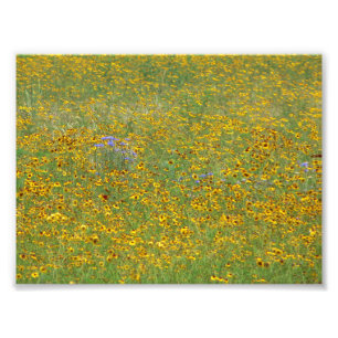 Foto Flores de época