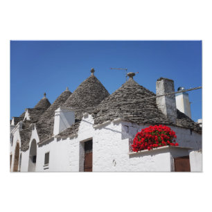Foto Flores de geranio y casas de trullos en Alberobell