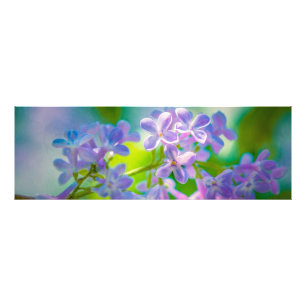 Foto Flores de Lilac Púrpura