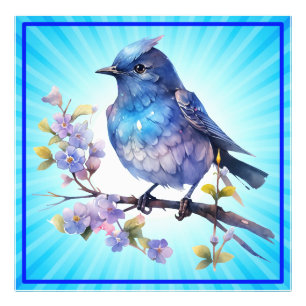 Foto Flores de pájaro hada Clipart acuarela-73611