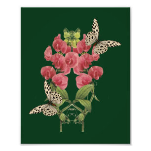 Foto Flores De Pea Y Mariposas Dulces 8x10