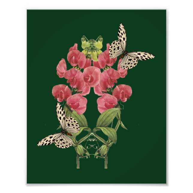 Foto Flores De Pea Y Mariposas Dulces 8x10 (Frente)