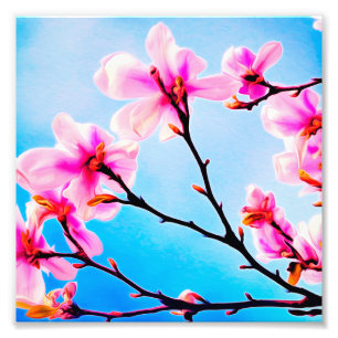 Foto Flores de primavera