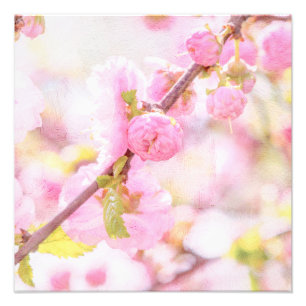 Foto Flores de sakura rosadas - Flor de cerezo japonesa