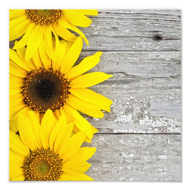 Foto Flores de sol en una mesa (Frente)