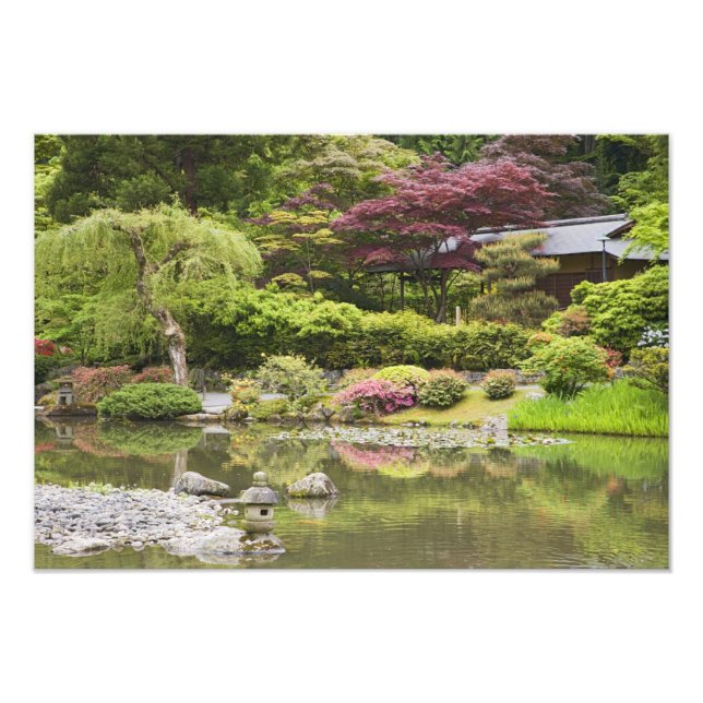 Foto Flores en flor en el Jardín Japonés, (Frente)
