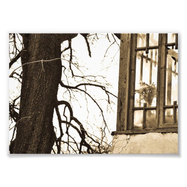 Foto Flores en la imagen de la casa antigua (Frente)