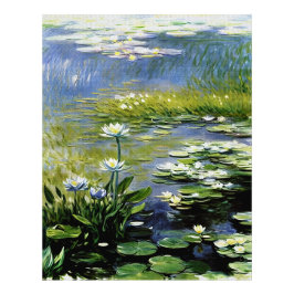 Foto Flores exuberantes de Agapanthus en Giverny