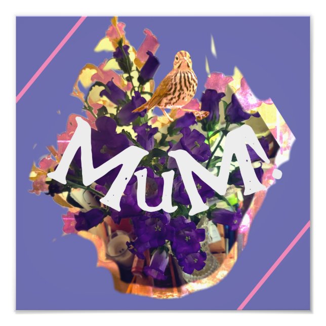 Foto Flores moradas y aves (Frente)