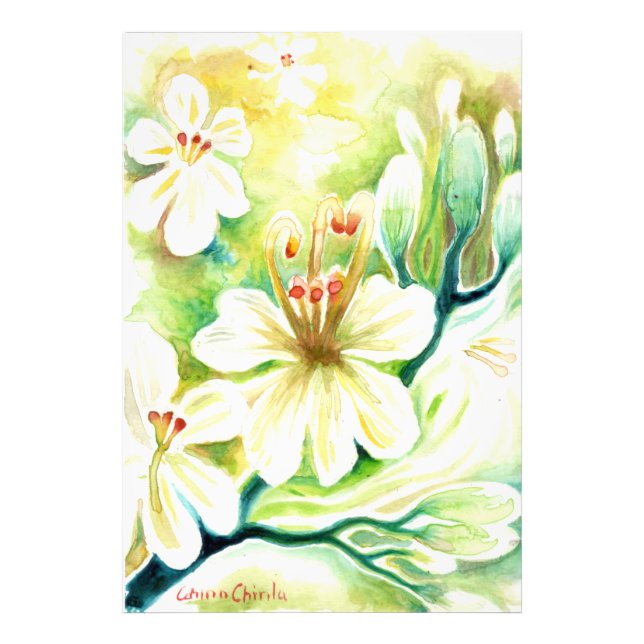 Foto Flores moringa (Frente)