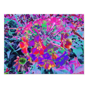 Foto Flores Psicodélicas Coloridas Rojas y Purpúreas
