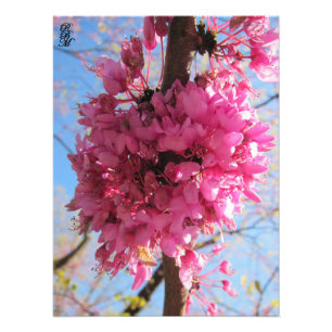 Foto Flores rosas en un árbol
