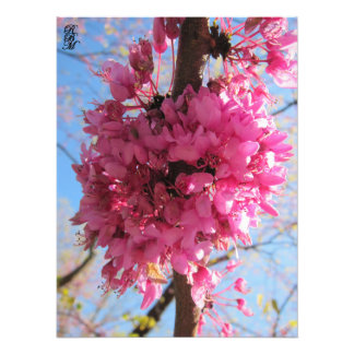 Foto Flores rosas en un árbol