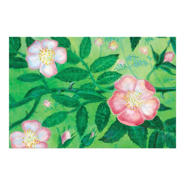 Foto Flores rosas silvestres (Frente)