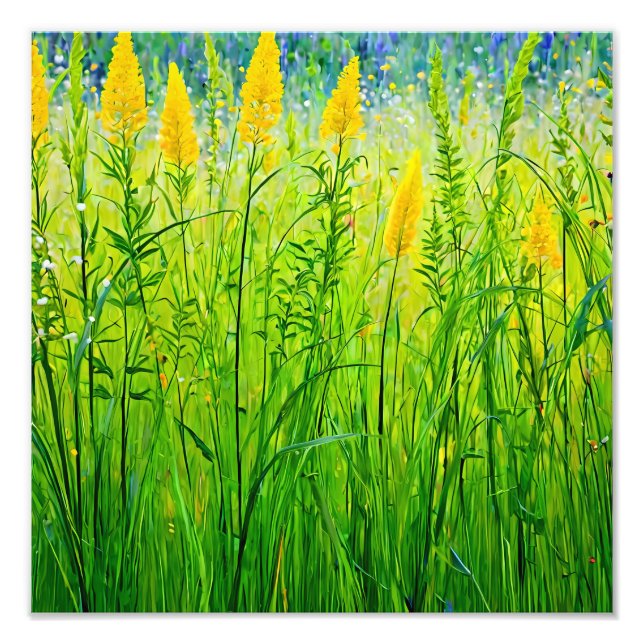 Foto Flores salvajes vibrantes al sol de verano (Frente)