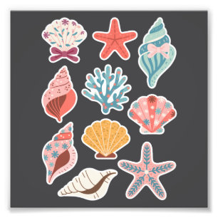 Foto Flores silvestres concha almeja vibraciones de ver