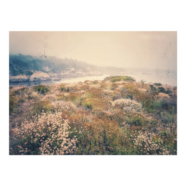 Foto Flores silvestres costeras (Frente)