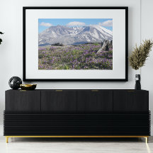 Flores silvestres del Monte St Helens