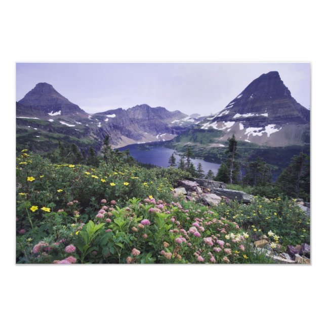 Foto Flores silvestres y lago escondido, Arbustivo (Frente)
