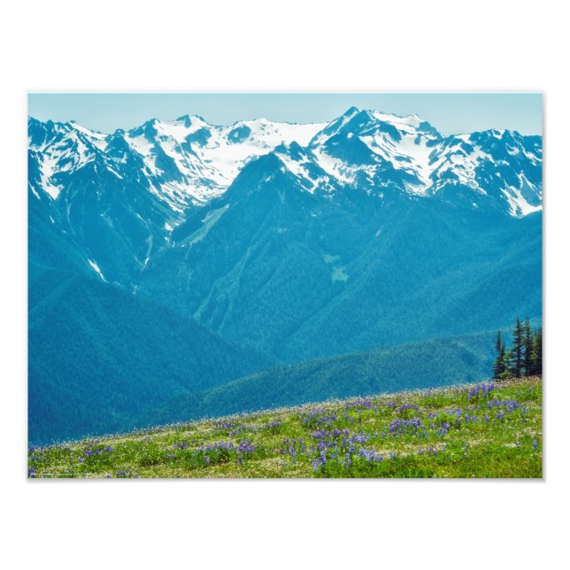 Foto Flores silvestres y montañas (Frente)