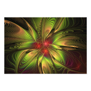 Foto Flores suaves y tiernas fantasía fractal
