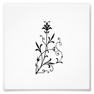 Foto Flourish floral decorativo