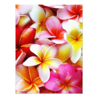 Flower Hawaii Personalizada Plumeria Frangipani
