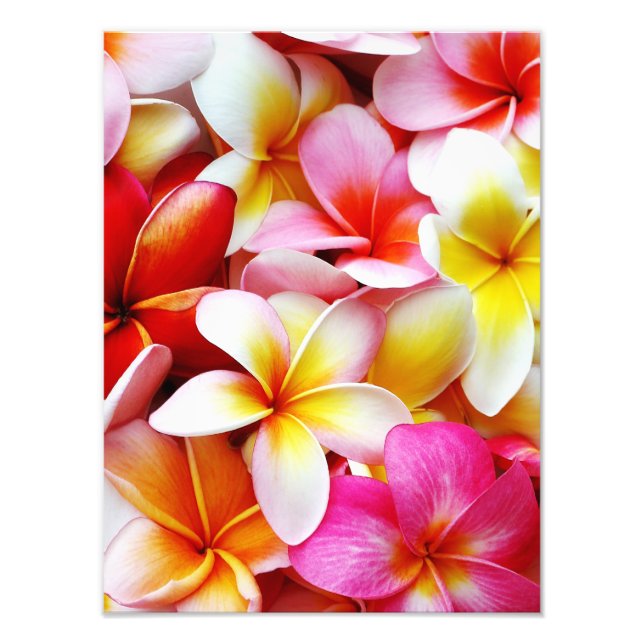 Foto Flower Hawaii Personalizada Plumeria Frangipani (Frente)