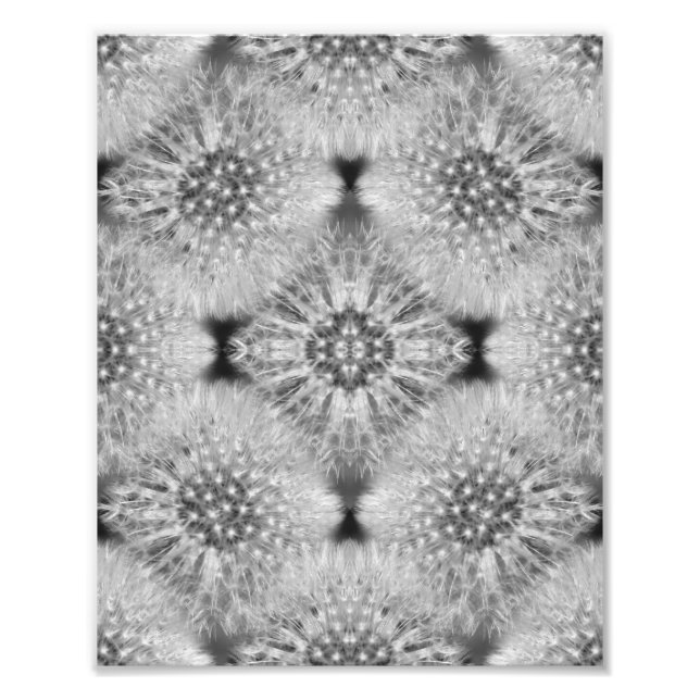 Foto Fluffy White Dandelions Resumen Naturaleza 8x10 (Frente)