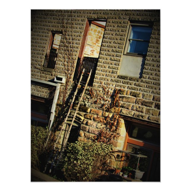 Foto "Foliage de cervecería" (Frente)
