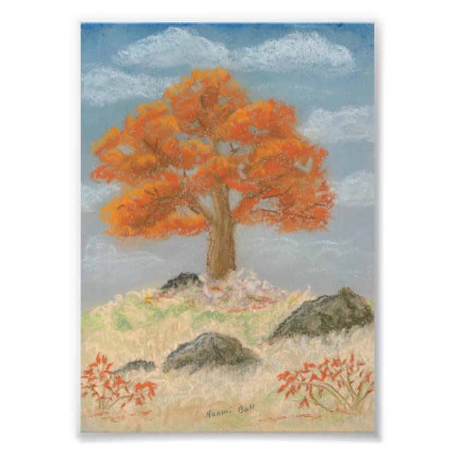 Foto Foliage de otoño (Frente)