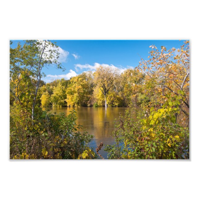Foto Foliage otoñal a lo largo del río Minnesota (Frente)