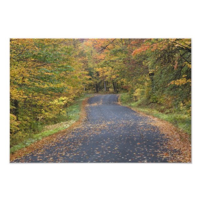 Foto Follaje de otoño al borde de la carretera, sur de  (Frente)