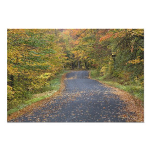 Foto Follaje de otoño en la carretera, sur de Vermont, 