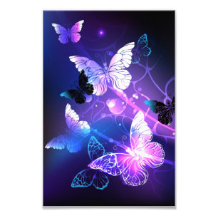 Foto Fondo con mariposas nocturnas