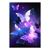 Fondo con mariposas nocturnas